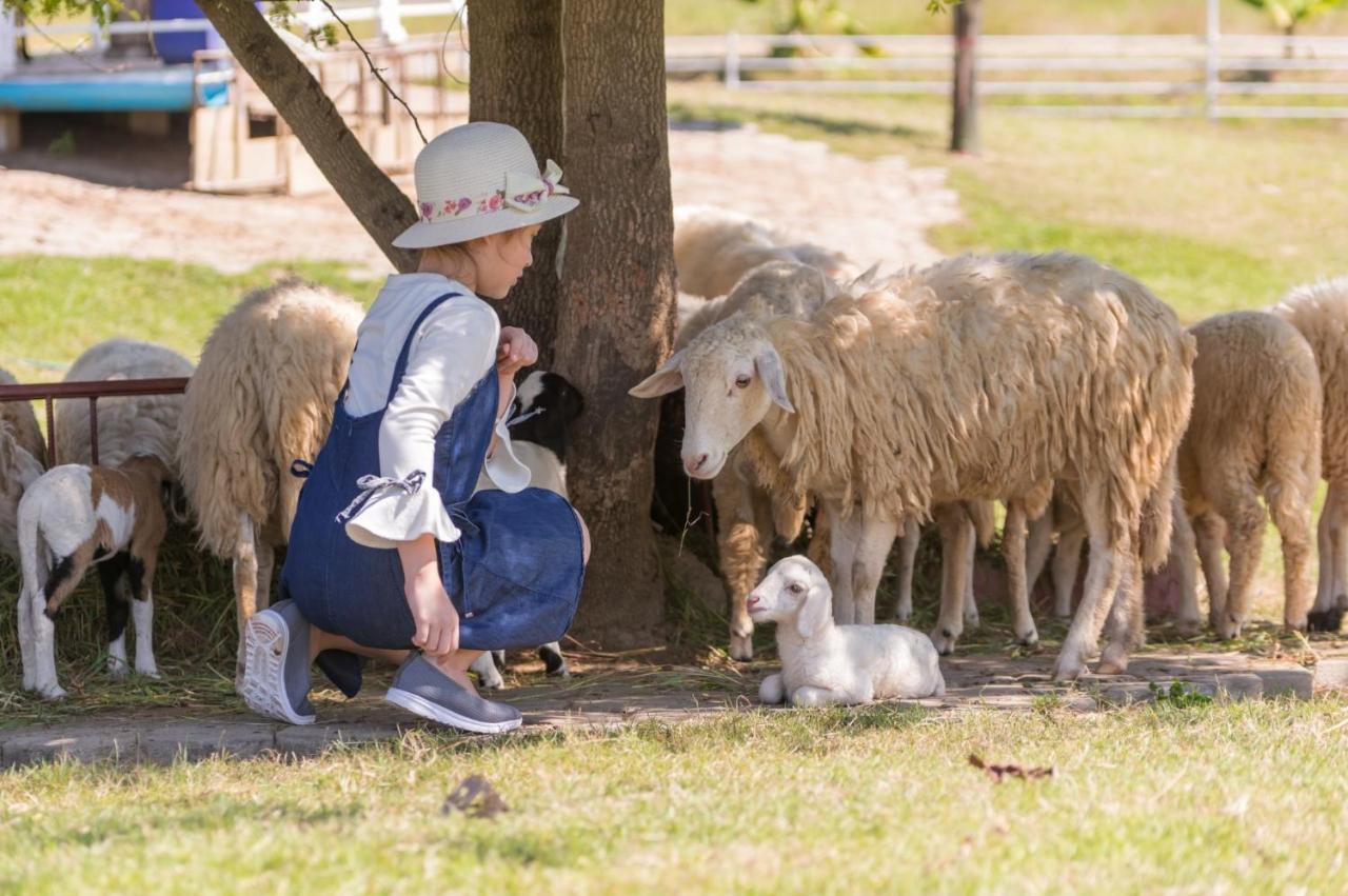 Oon Valley Farm Stay San Kamphaeng Luaran gambar